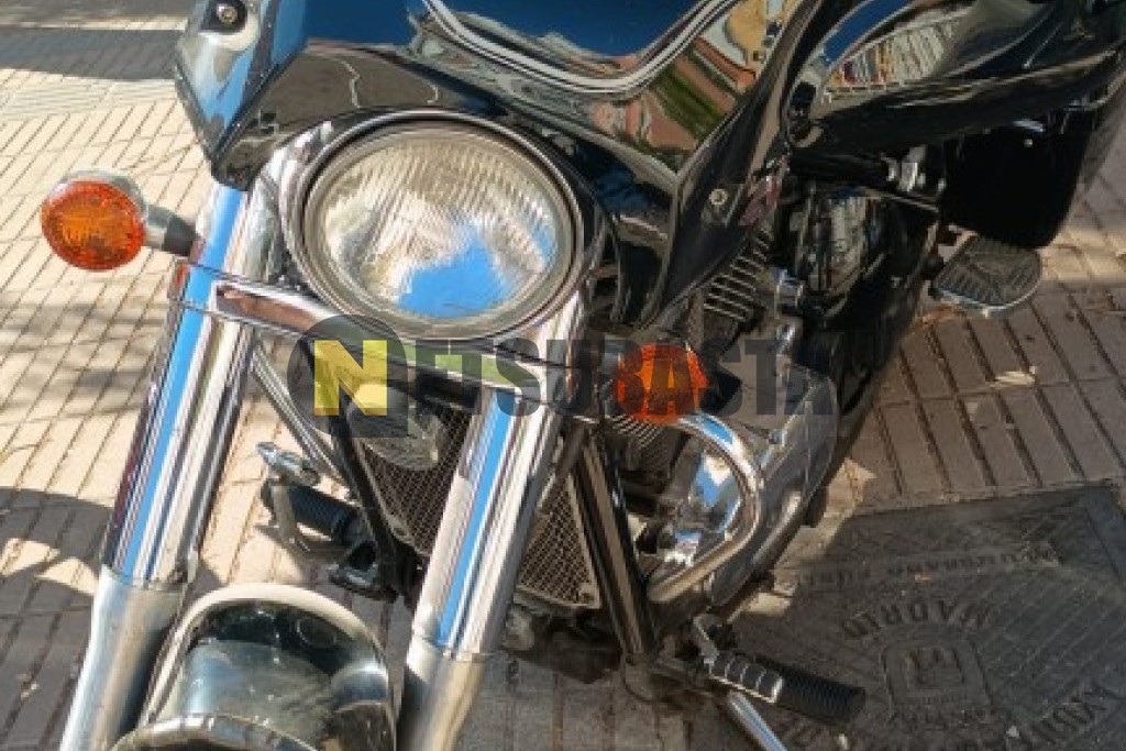 Kawasaki VN 800 Classic 2006