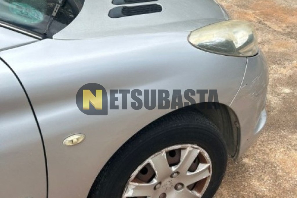 Peugeot 206 + 1.1 2010