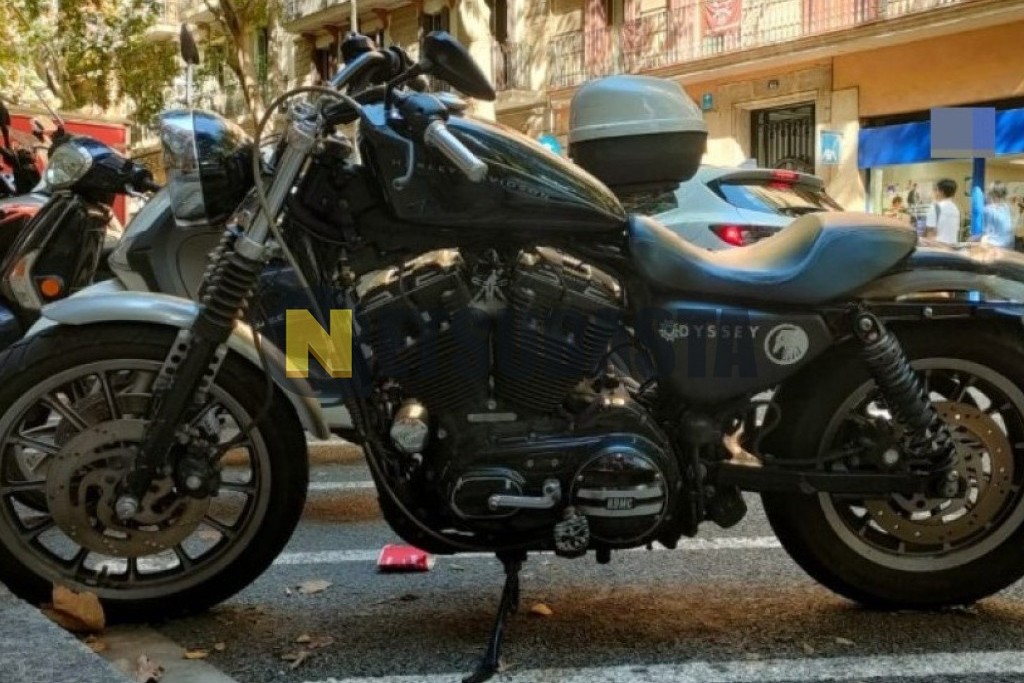 Harley-Davidson Sportster 883 R 2007