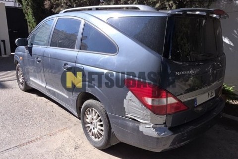 Rieju RS2 125 Matrix 2006