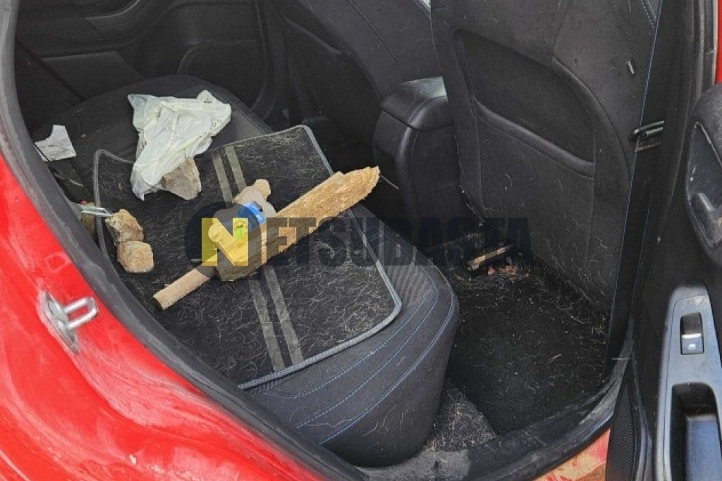 Ford Fiesta ST 1.5 EcoBoost 2021