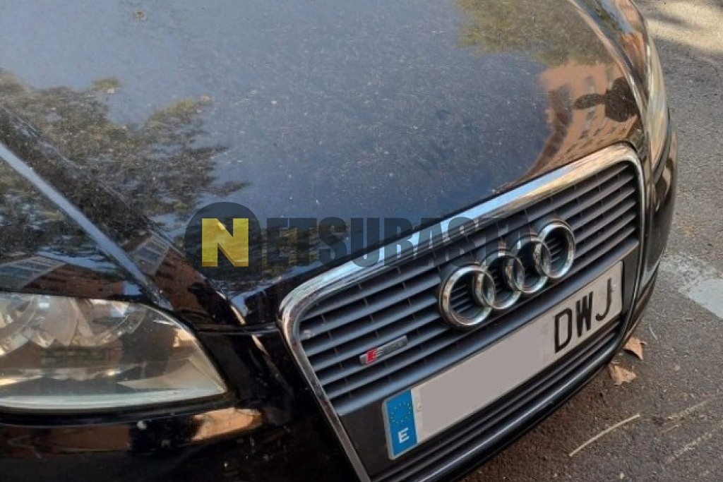 Audi A4 2.5 TDI multitronic 7 vel. 2006