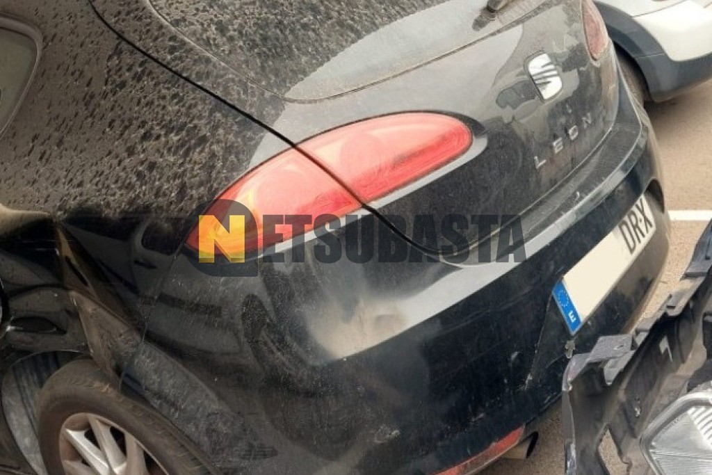 Seat Leon 1.9 TDI 2005