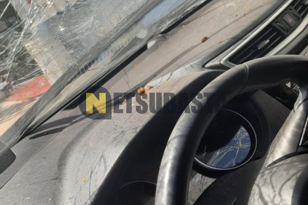 Nissan Qashqai 1.3 DIG-T 2019