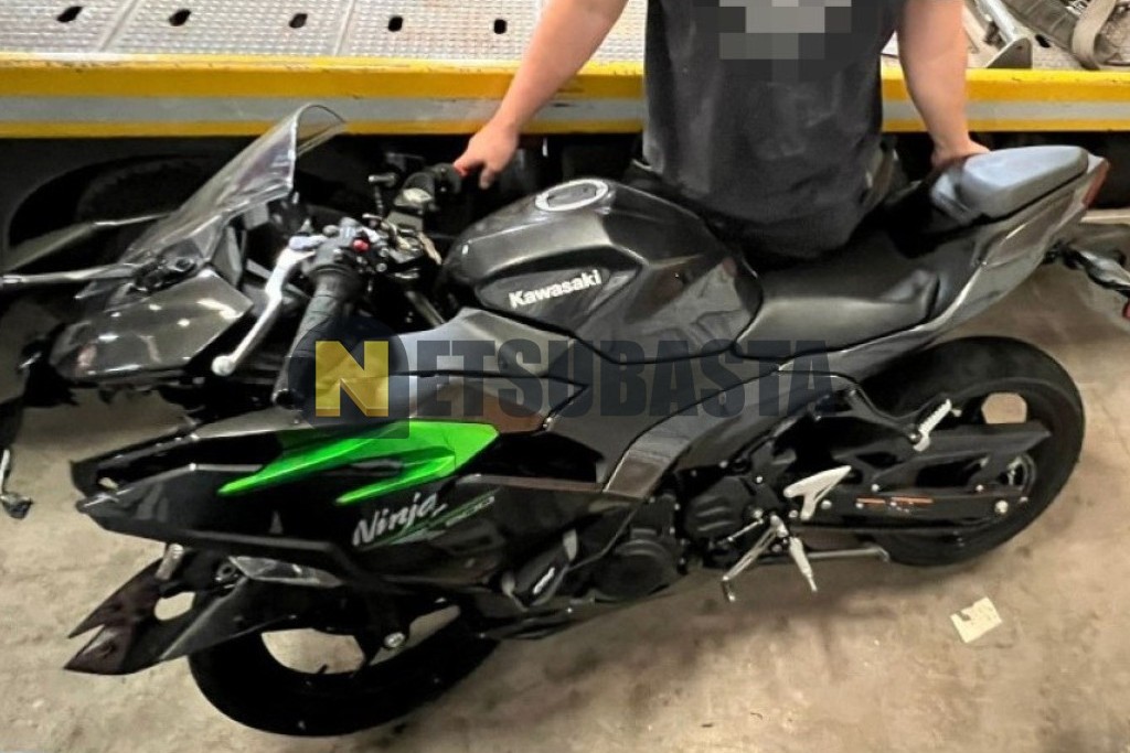 Kawasaki Ninja 500 2025