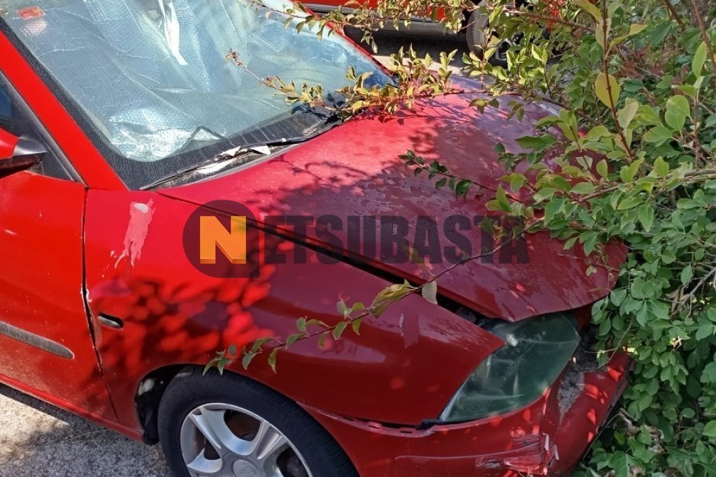 Seat Ibiza 1.9 TDI 2005