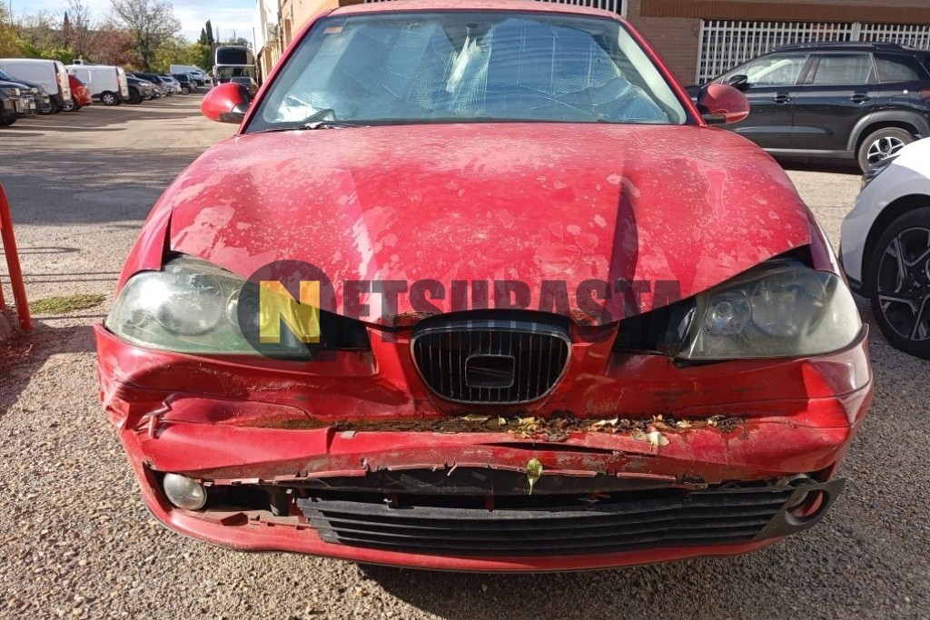 Seat Ibiza 1.9 TDI 2005