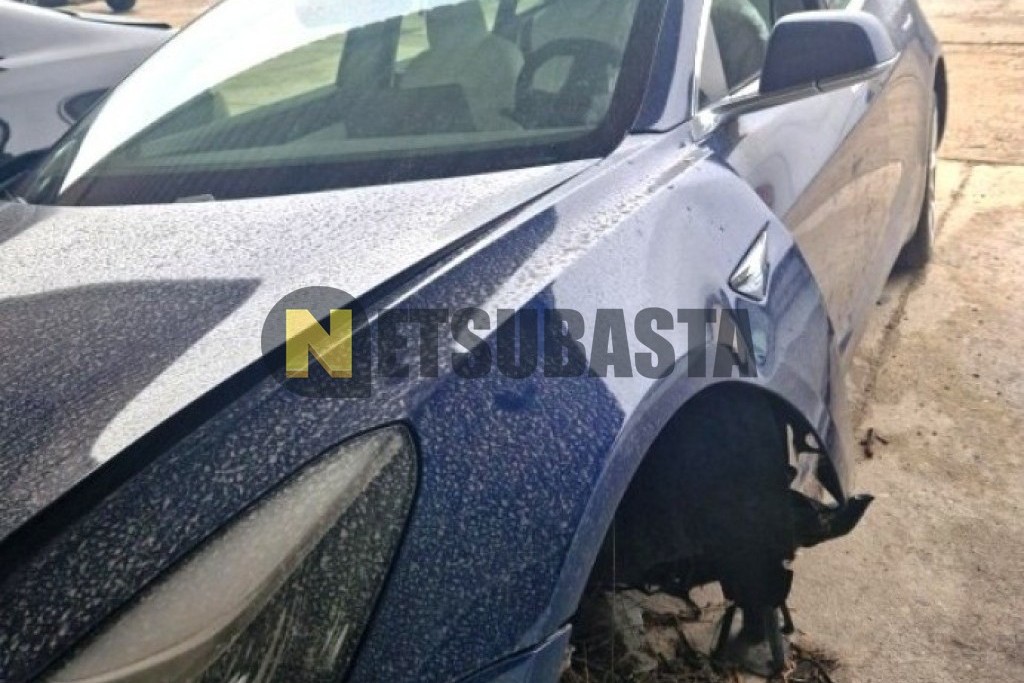 Tesla Model 3 Tracción integral 2019