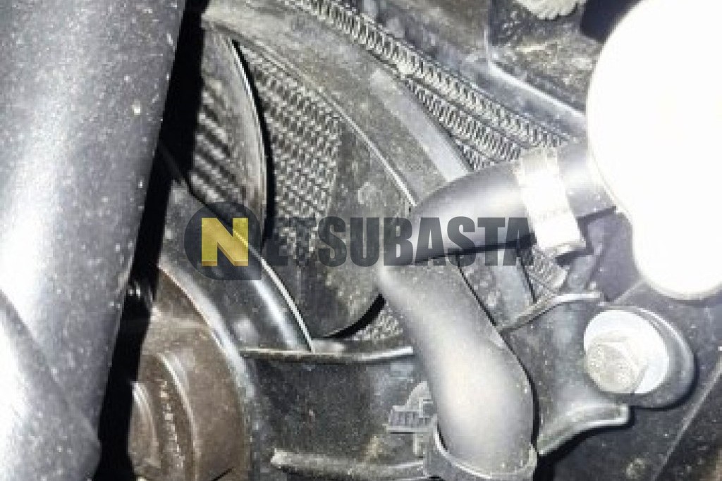 Benelli Leoncino 800 Trail 2022