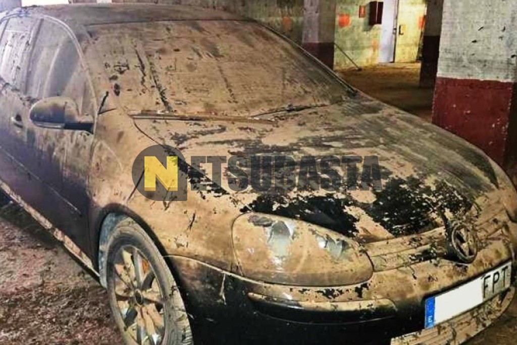 Volkswagen Golf 1.9 TDI 2007