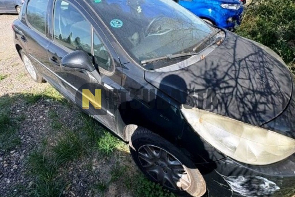 Peugeot 207 1.4i 2010