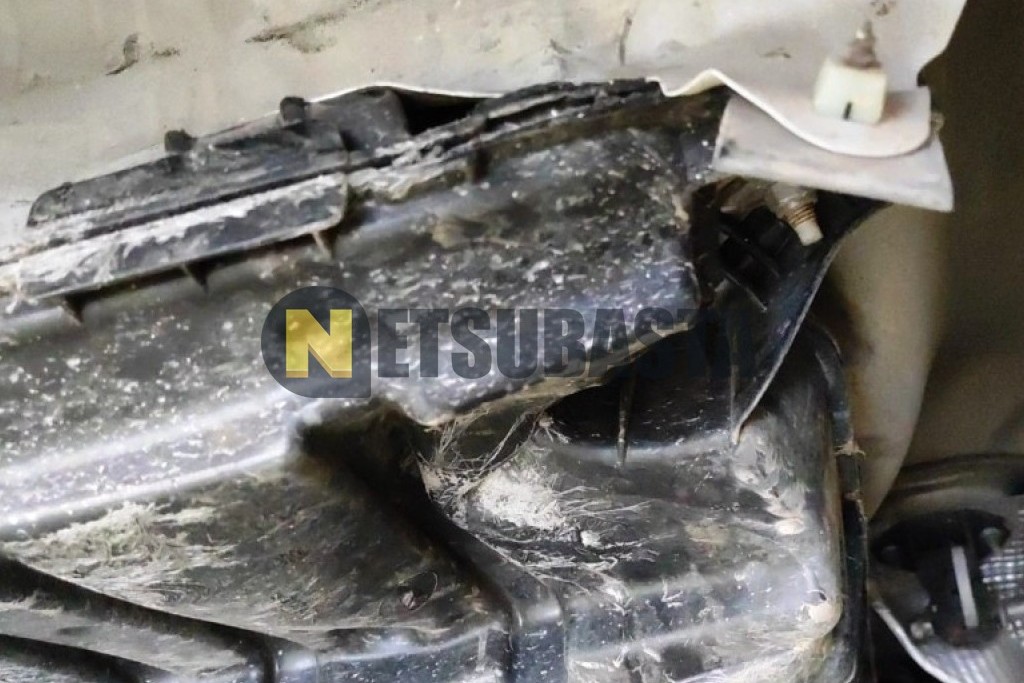 Citroën C3 1.5 BlueHDi 2022