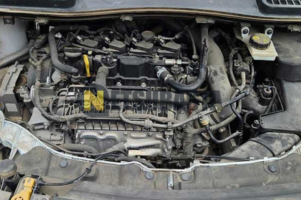 Ford Kuga 1.5 EcoBoost 2019