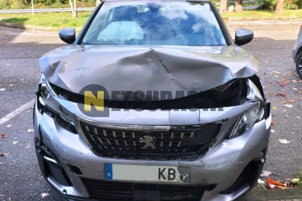 Peugeot 3008 1.6 BlueHDi 2017