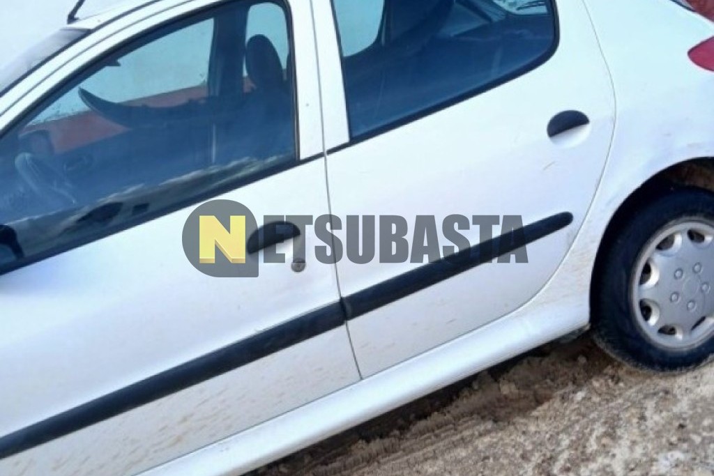 Peugeot 206 1.9 D 2001