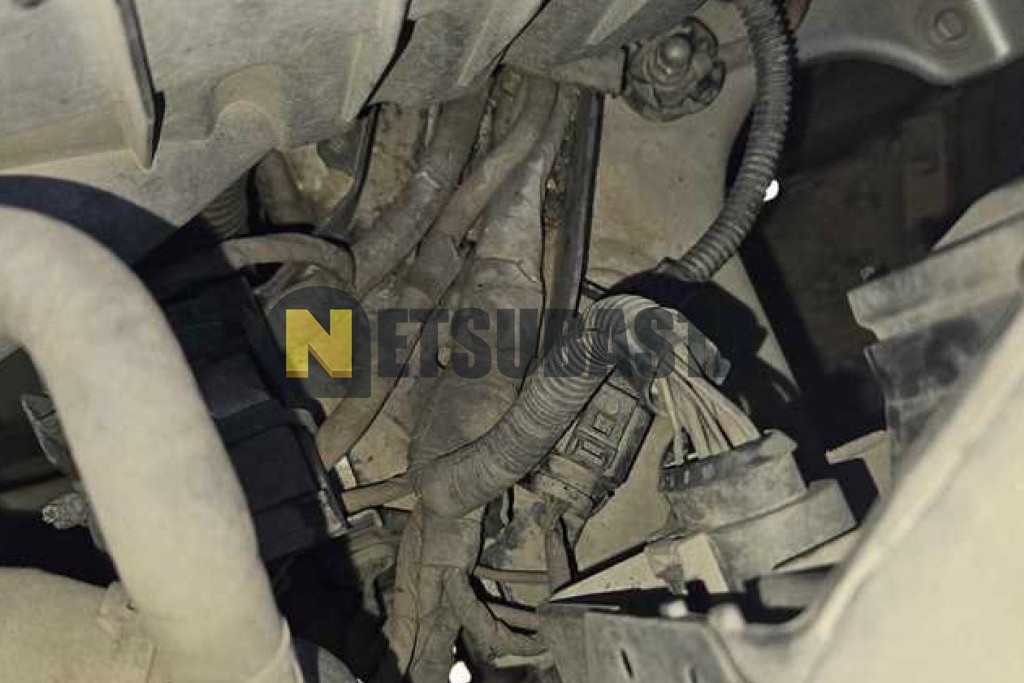 Volkswagen Golf 1.9 TDI 2005