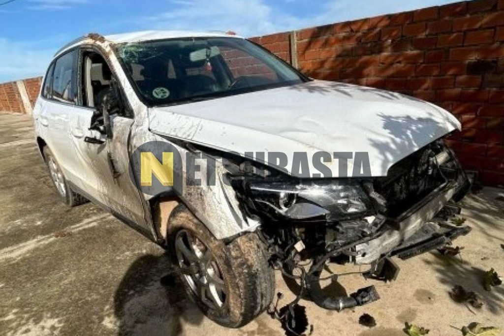 Audi Q5 2.0 TDI quattro S tronic 7 vel. DPF 2009