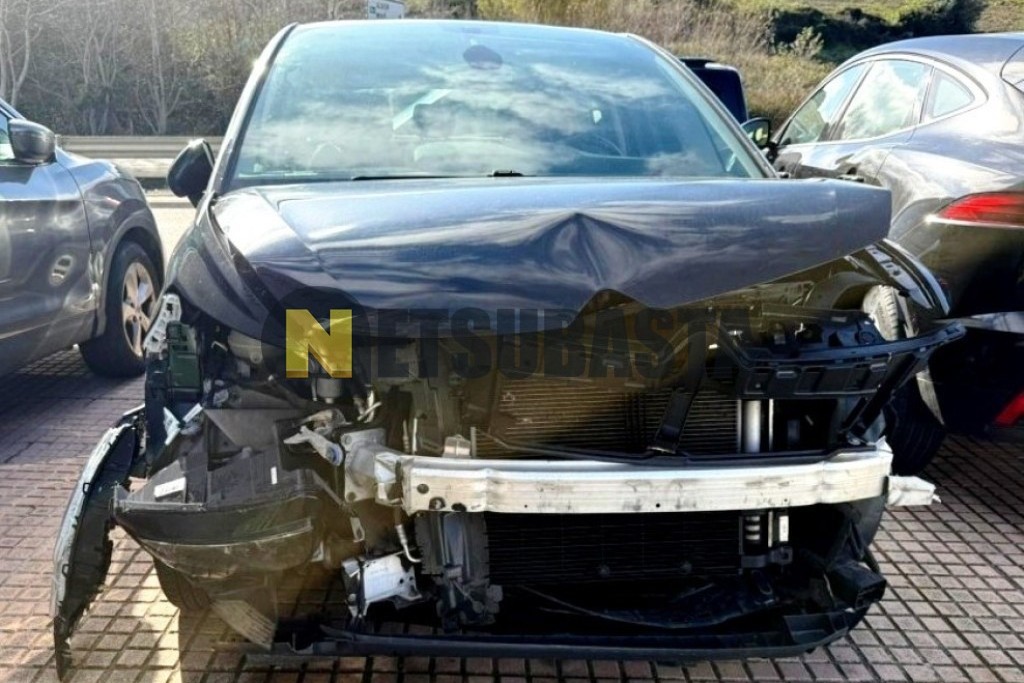 Citroën C4 Picasso 1.6 BlueHDi 2016