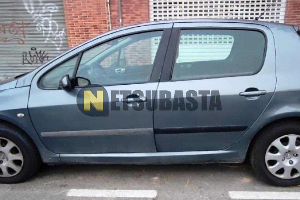 Peugeot 307 1.4 2006