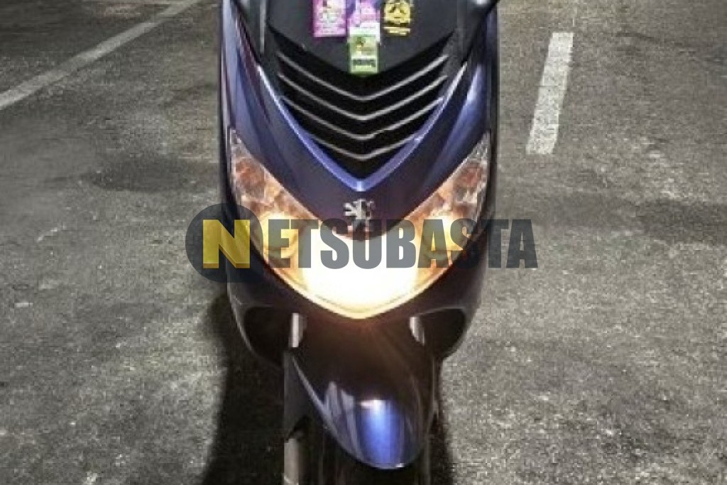 Peugeot ELYSTAR 50 2008