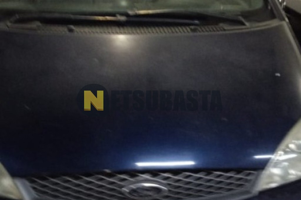 Ford Galaxy 1.9 TDi 2003