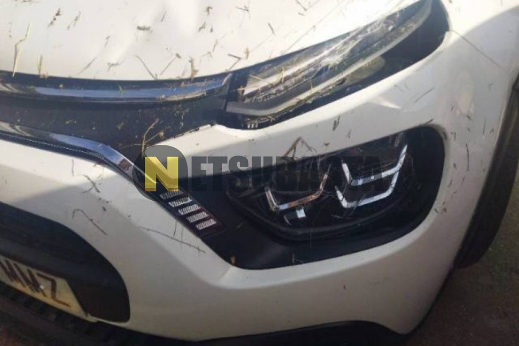 Citroën C3 1.5 BlueHDi 2024