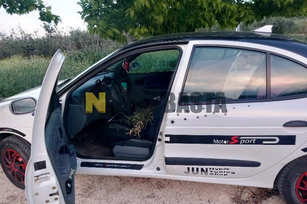 Renault Megane Classic 1.9D 1998