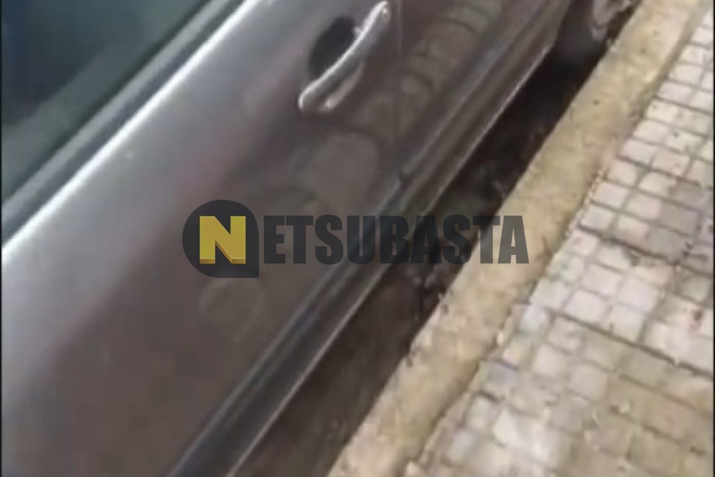 Seat Leon 1.6 TDI 2004