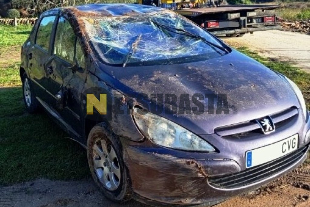 Peugeot 307 2.0 HDi 2004