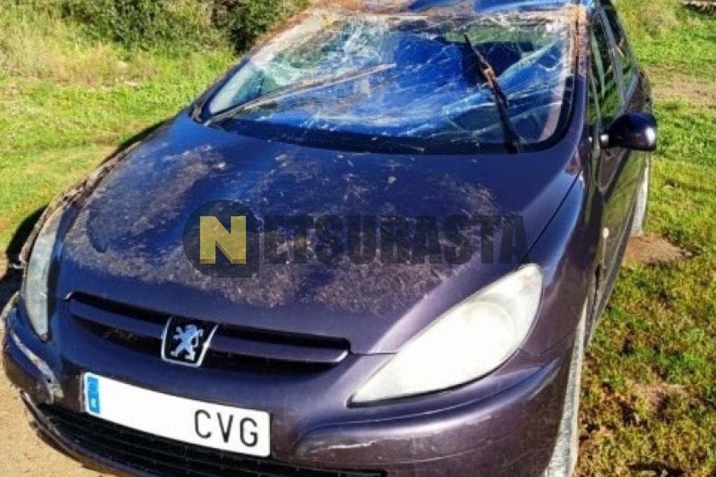 Peugeot 307 2.0 HDi 2004