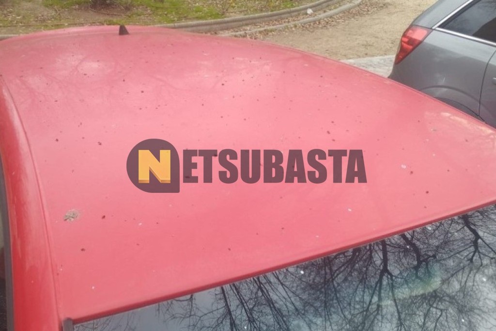 Seat Leon 1.6 GLP 2007