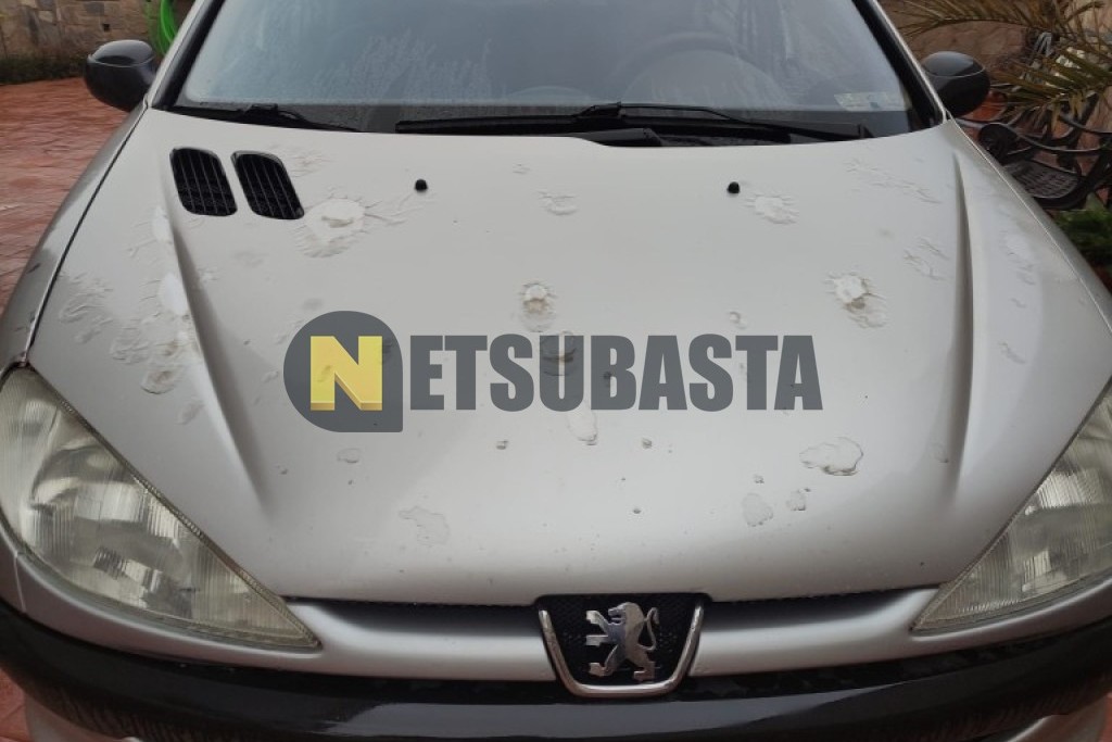 Peugeot 206 1.9D 2001