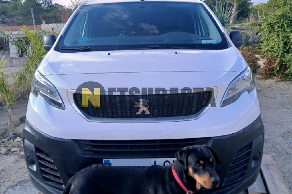 Peugeot Expert 1.5 BlueHDi 2019