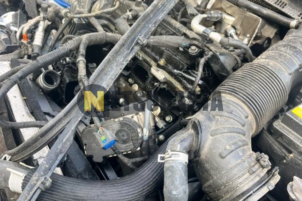 Hyundai i30 2.0 T-GDi N Performance 2019