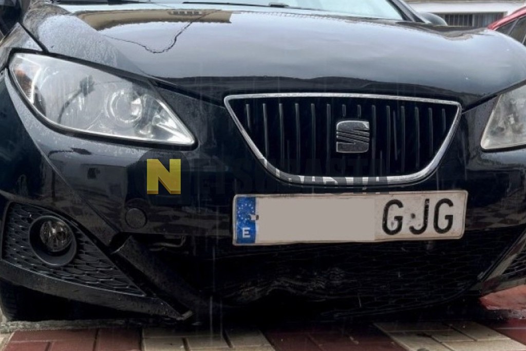 Seat Ibiza 1.9 TDI 2008