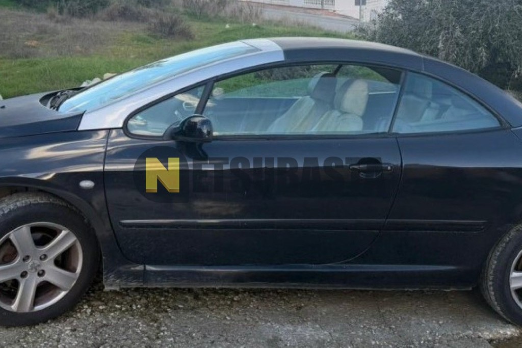 Peugeot 307 CC 2.0 16V 2005