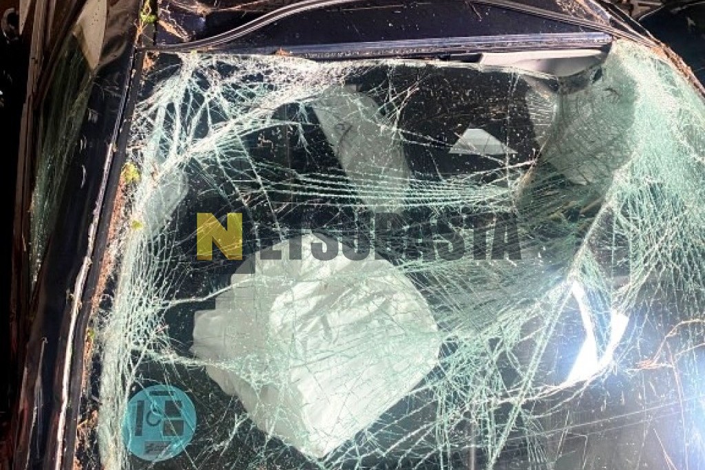 Omoda 5 1.6 TGDI 2024