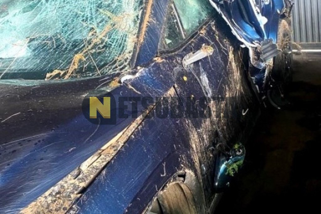 Omoda 5 1.6 TGDI 2024