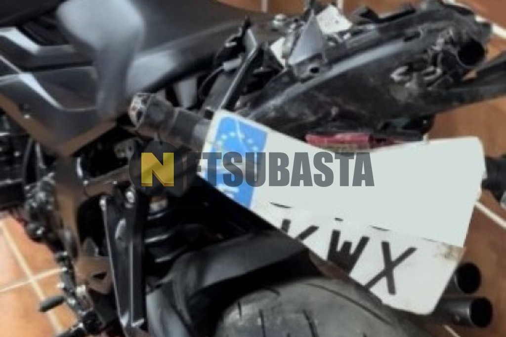 Suzuki GSX-S 750 2019