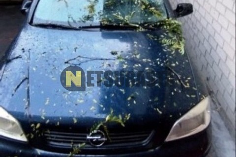 Yamaha XMAX 250 2007