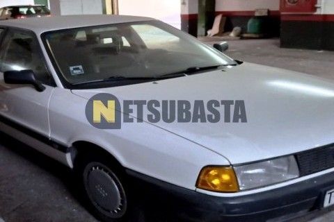 Wottan Storm-S 300 2022