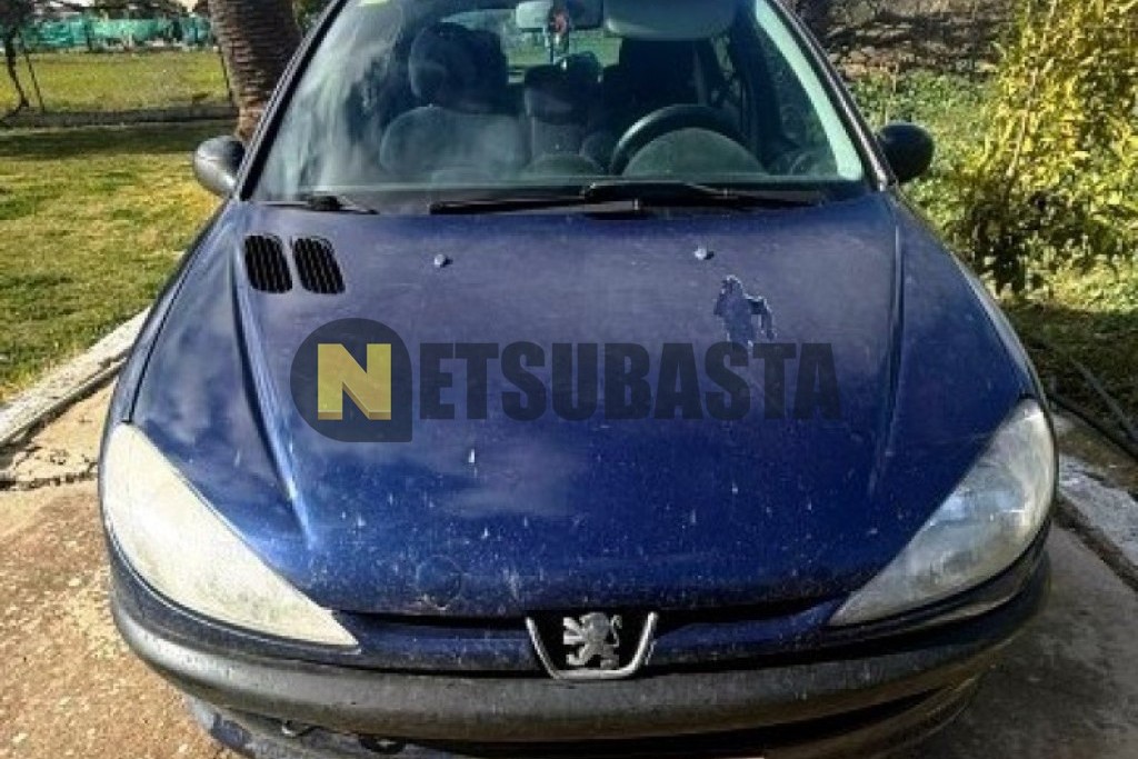Peugeot 206 2.0 HDi 2002