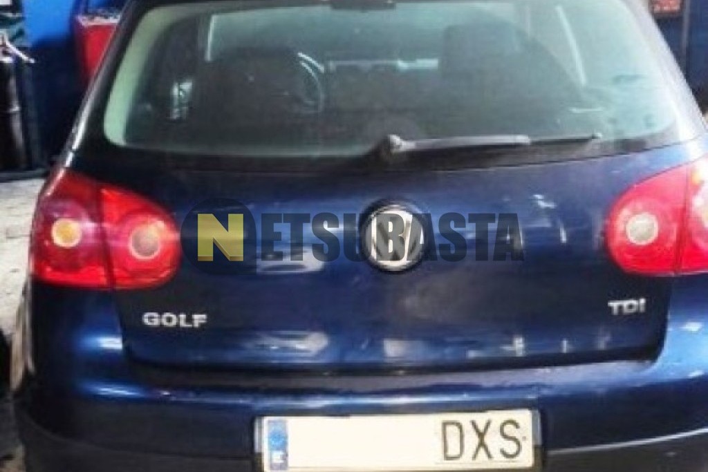 Volkswagen Golf 1.9 TDI 2005