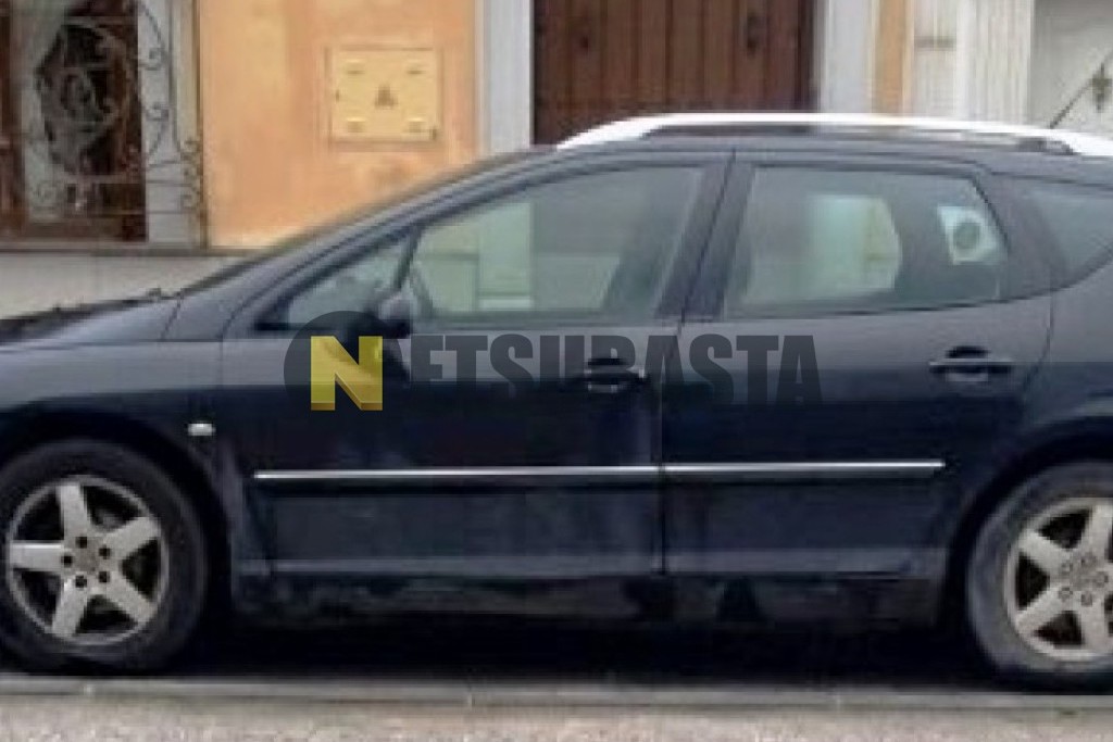 Peugeot 407 SW 2.0 HDi FAP 2007