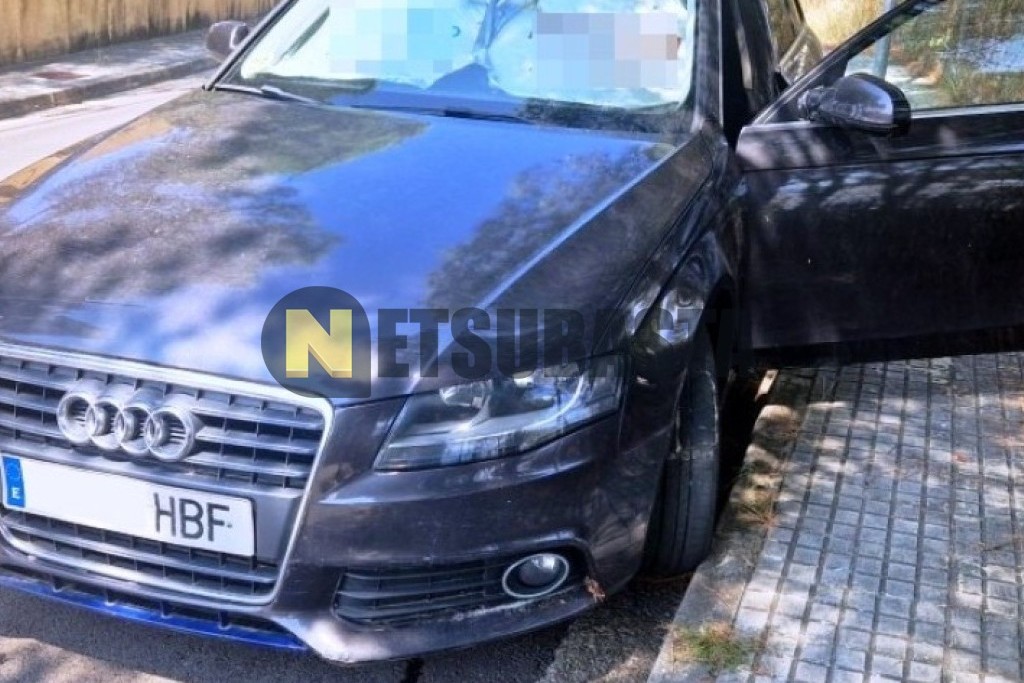 Audi A4 Avant 2.0 TDI multitronic DPF 2010