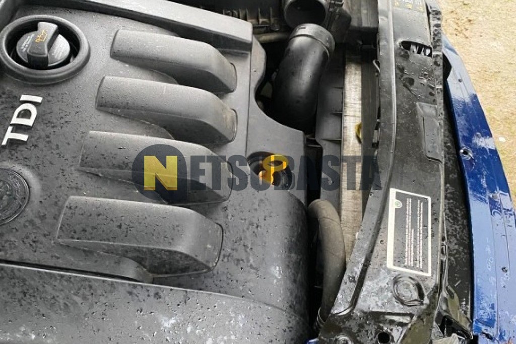 Skoda Octavia 1.9 TDI 2009