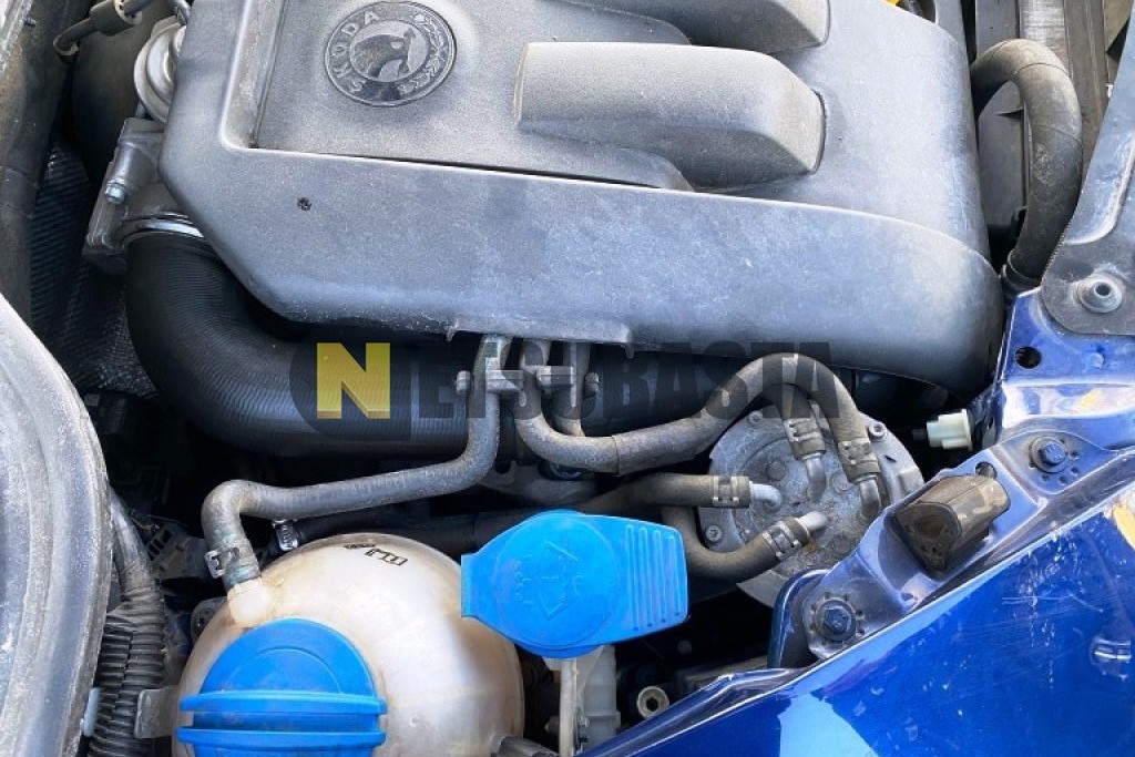 Skoda Octavia 1.9 TDI 2009