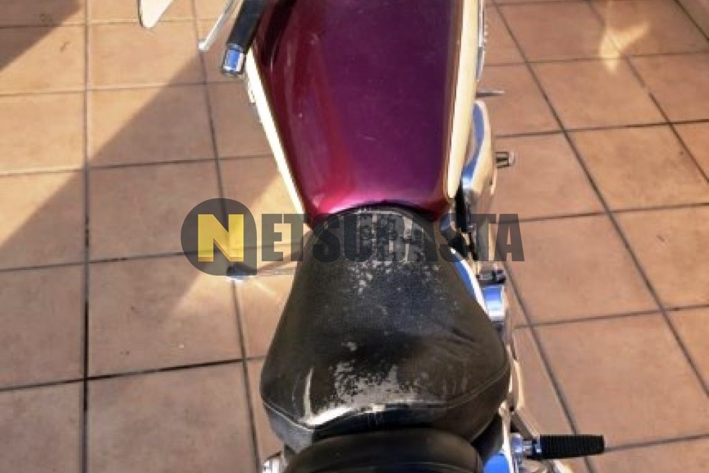 Suzuki VZ 800 Marauder 1998