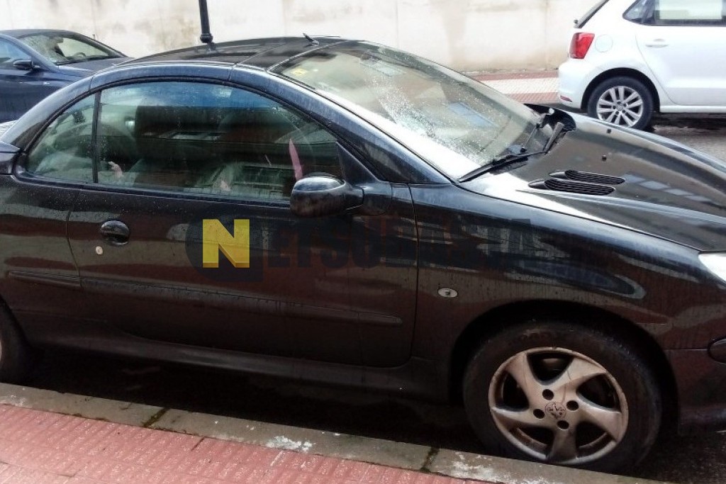 Peugeot 206 Coupé Cabrio 1.6 2006