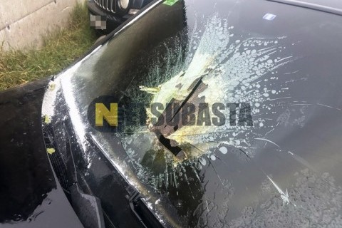 Renault E-Tech D Wide R4x2 Isotermo 2023